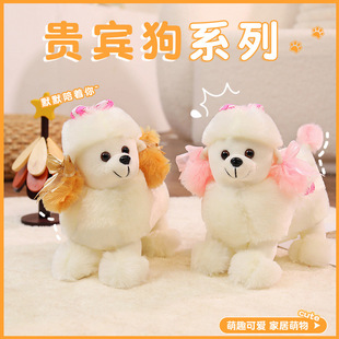 �F�e������ë�q��߰�ɫ�F�eȮ����ϵŮ�������������նY��С�׹�