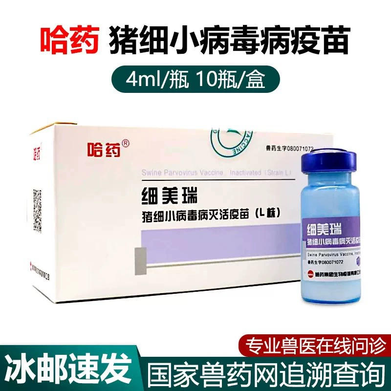 Вакцина против свиного парвовируса Xinmeirui Haoyao (инактивированная, штамм L) для свиней