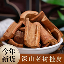 ����������� ��Ƥ��Ƥ±�ϻ���������ϸɻ� ���۹�Ƥ���ϴ�ȫ