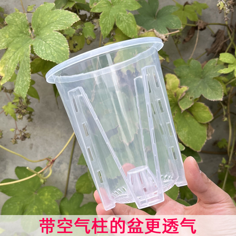 New butterfly orchid flower pot green mountain root control punching flower pot Vine Green Velvet bamboo Taro indoor transparent flower pot wholesale