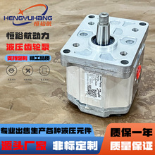 ����˹111.20.216.00Һѹ��DANFOSS���ֱ�SNP2NN/8.0RN01BA�ͱ�