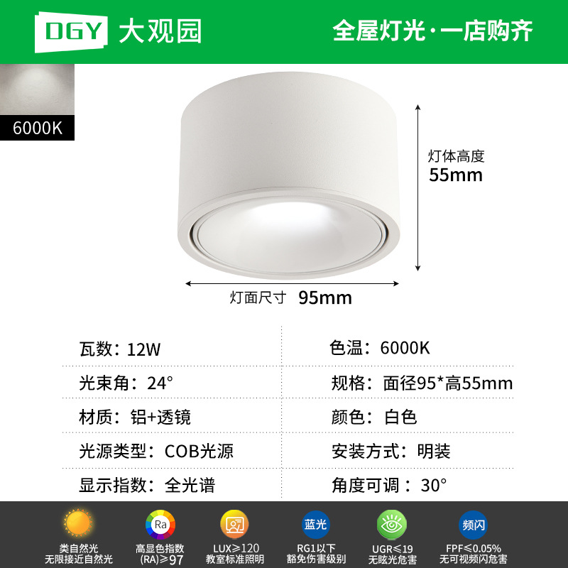 Da Guan Jardín luz de reflector anti-deslumbramiento colina sala de estar sin luz principal luz de techo downlight led corredor luz de techo 495L image 25