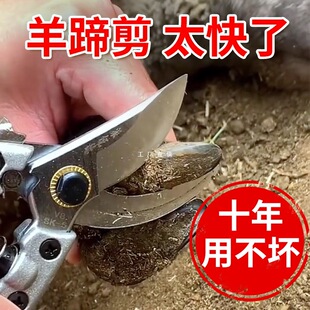 ����������������������������Ӽ�ָ���������㵶�iţ�������Q