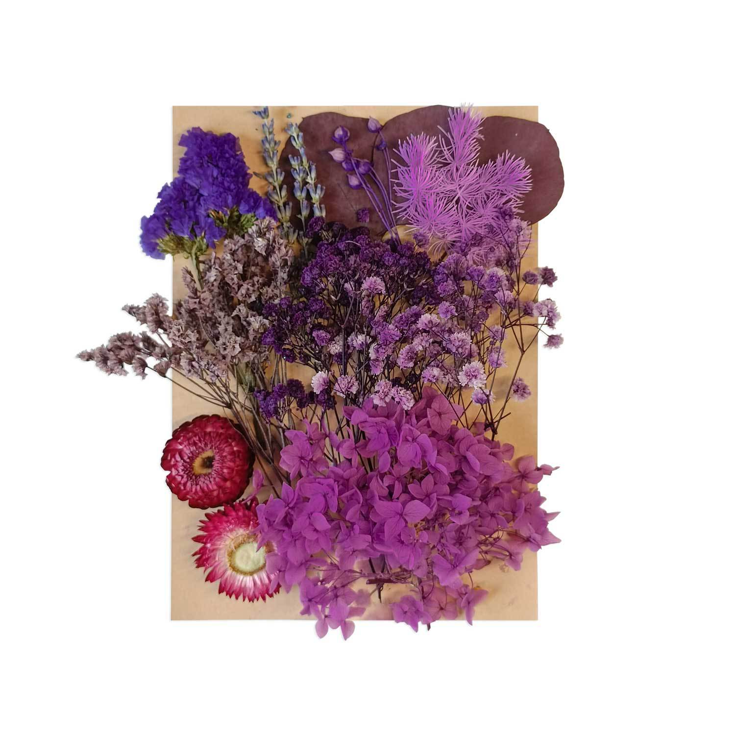 Flor seca flor eterna marco de fotos en relieve paquete de material combinación paquete de flores aromaterapia ventilador A5 bolsa de fábrica al por mayor transfronteriza