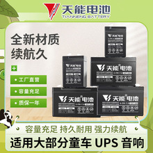 天能童车电池6V童车专用12V音响UPS应急电源大容量蓄电池