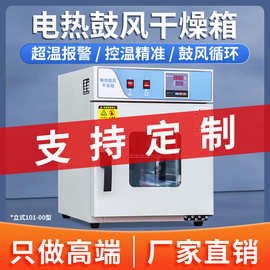 电热鼓风干燥箱实验室新款立式101-00工业烘箱恒温物资药材烘干箱