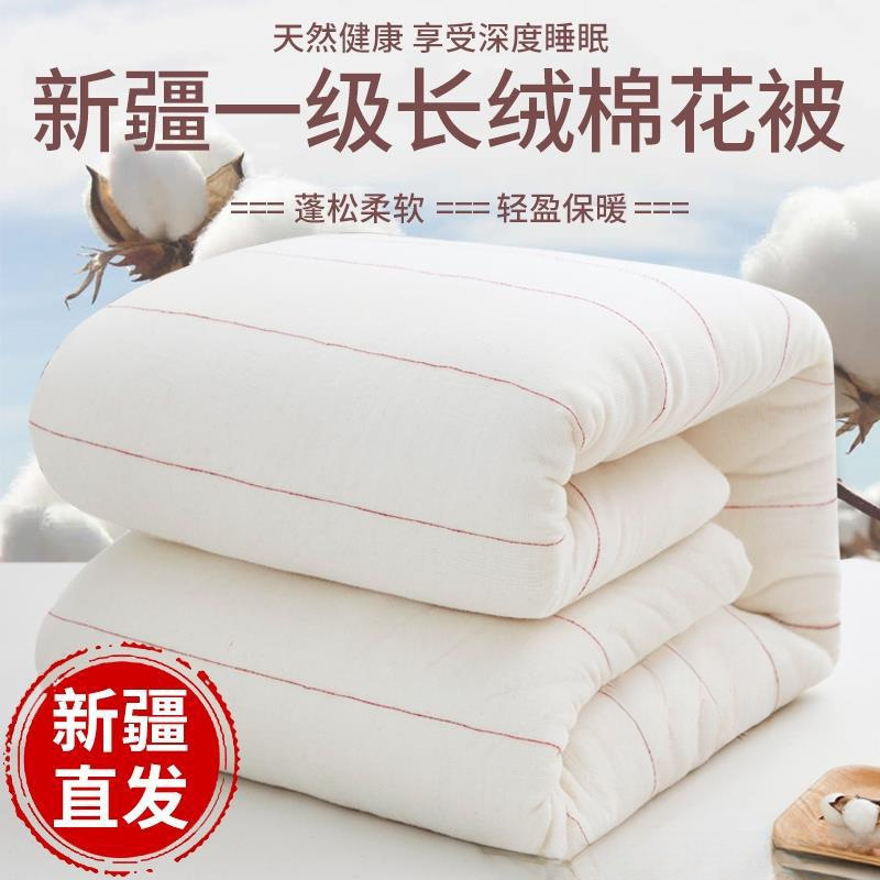Cotton Batting Quilt Cotton Quilt Core Dormitory Mattress Quilt Handmade Pure Winter Quilt