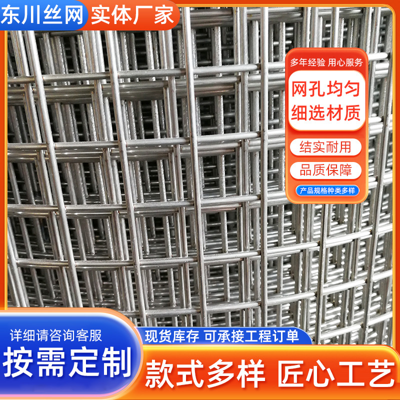 厂家供应镀锌电焊网 养殖铁丝网 鸡鸽兔笼钢丝网 热镀锌蛇笼网