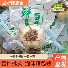 厂家直销兰州鲜百合特级大果新鲜甜百合水果百合甘肃特产一件代发