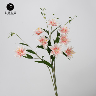 ���Sֱ�N 2�^�ذ�С�ٺϽ�����֧��c���滨�ҾӔ[���껨�廨���