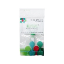 �q�~��DNA��Һ��10 mg/mL�������s����