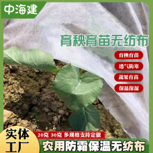 �r�I�������粼�r�ñ��؟o�����ɶ� ��Ҏ����������16m