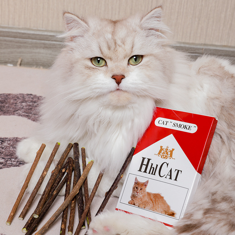 木天蓼猫烟 猫咪磨牙棒 猫咪玩具宠物用品自嗨洁齿猫薄荷香烟华子