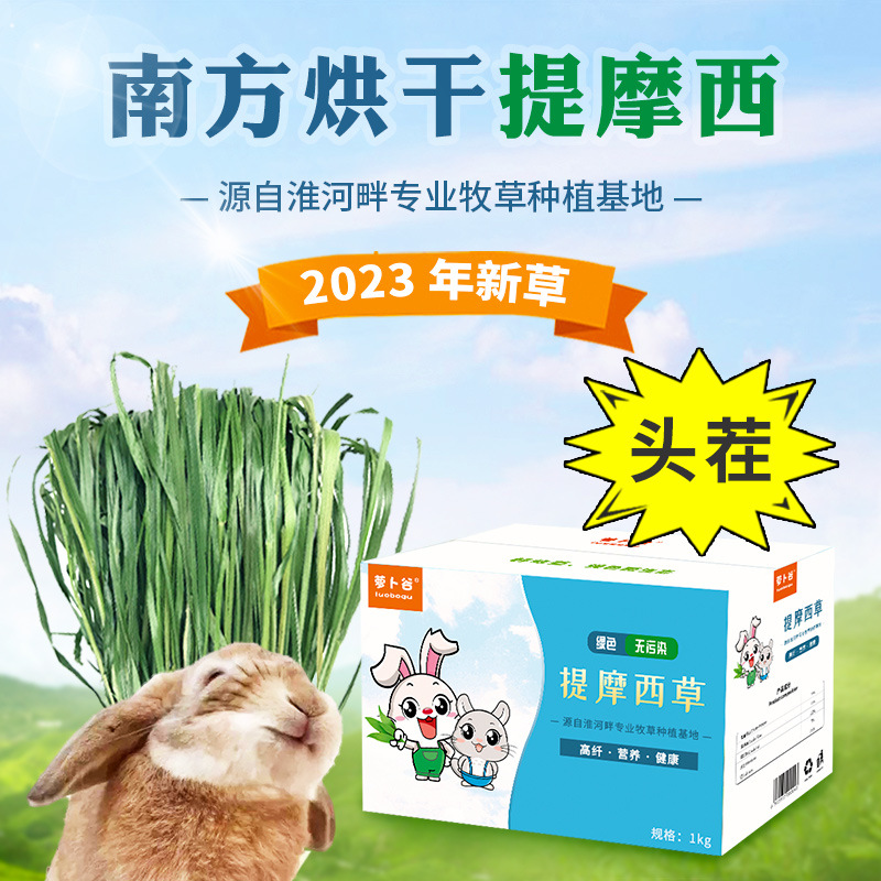 2023年全叶南方提草 提摩西草干草兔子龙猫荷兰猪牧草毛重1kg