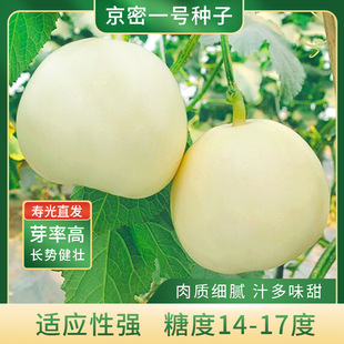 ����һ̖��ϷN���������ϷN���ļ������＾�̨�����r���߲���