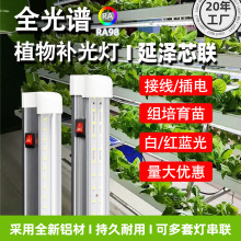 LEDȫ���V�M��ֲ�����L��T8һ�w1.2��18��36���߲������a���L�l��