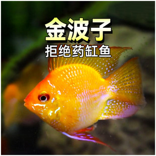 �����~���m�P�˶����~�Ꭷ�^�pС�͵�ˮ�����_�{���ӻ��w�ݸ�