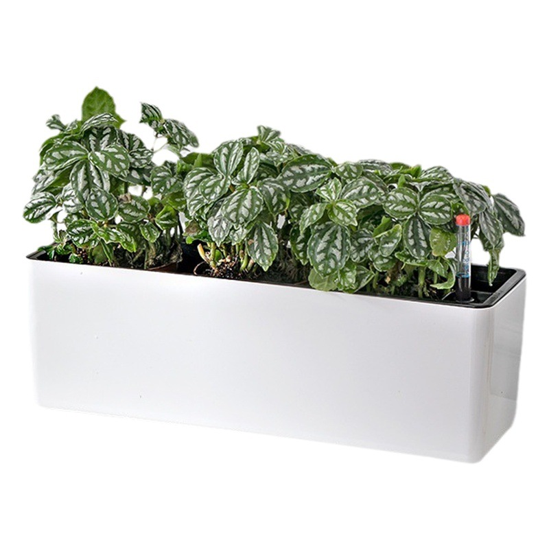 Maceta Autoabsorbente Rectangular de Gran Diámetro, para Balcón y Ventana, de Resina