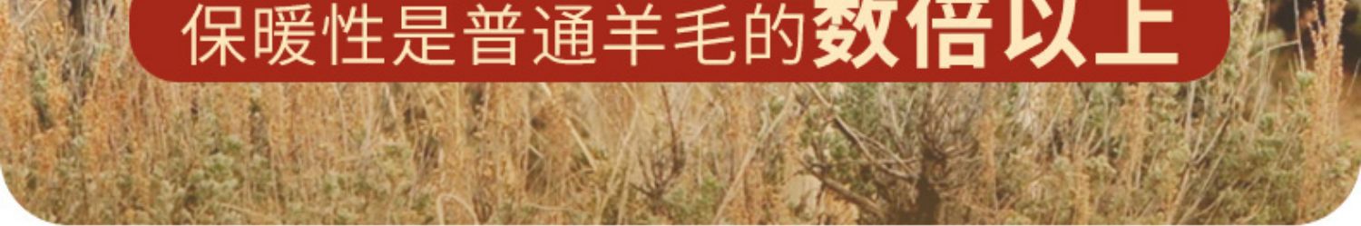 O1CN01mxwc6d1PzHfh94ONP_!!2206765491911-0-cib.jpg?__r__=1667199427781