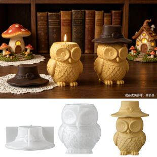 �������¿ñ؈�^���ռ{�ޔ[�����zģ��diy��޹ʯ��Ϟ�T��ģ��