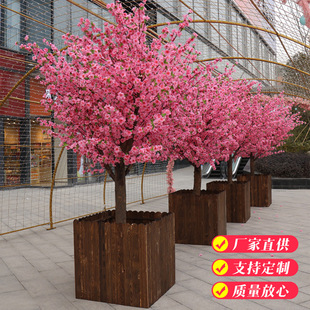 �����һ�����Ҙ��҃����b��̈���������S�t�������䶨��