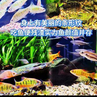 15��15�l30��ˮ�^�p�͵͜��~�Ї����~��H�l�yС?�����~���~��S