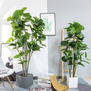 ���ͱ��W����ֲ�����~�ŷ����Gֲ�͏d������Ԑ������b[���٘�