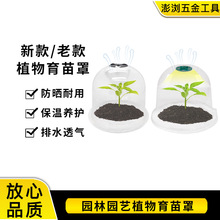 植物养护恒温育苗罩塑料透明可透气种植保护罩育苗园艺工具批发