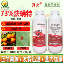 ���73%Ȳ�\�����͸��ټt֩����\��Ȳ�M�؛Q�\�ؚ��x���\���rș