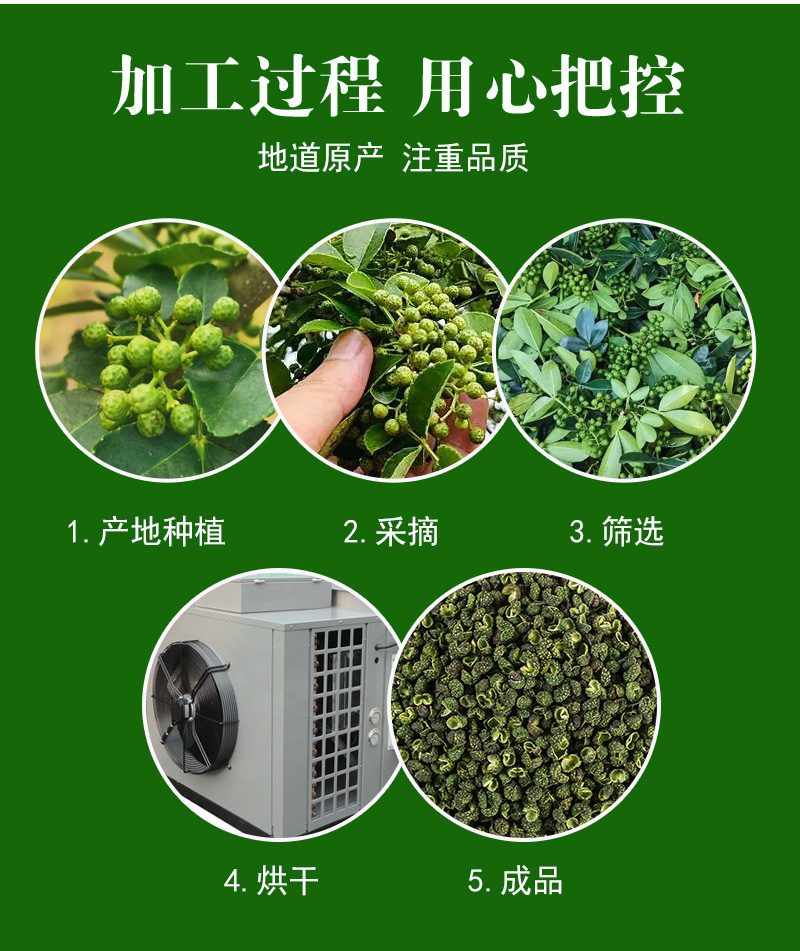 Green Sichuan Peppercorn (Zanthoxylum armatum) — Grade 1 Sichuan Ma Jiao, Bulk 500g preparation