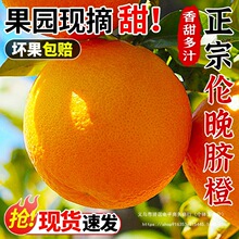 ���w����Ě��10���������ȾGɫʳƷ�J�C�����ȶ�֭�Fժ