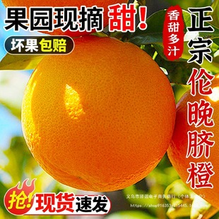 ���w����Ě��10���������ȾGɫʳƷ�J�C�����ȶ�֭�Fժ