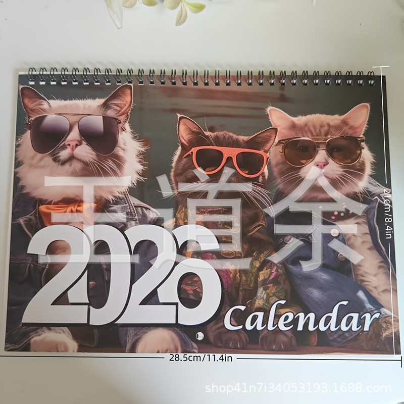 선글라스를 쓴 고양이 세 마리