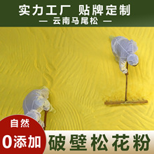 云南破壁松花粉2025年头道松花粉新粉源头厂家批发野生马尾松花粉