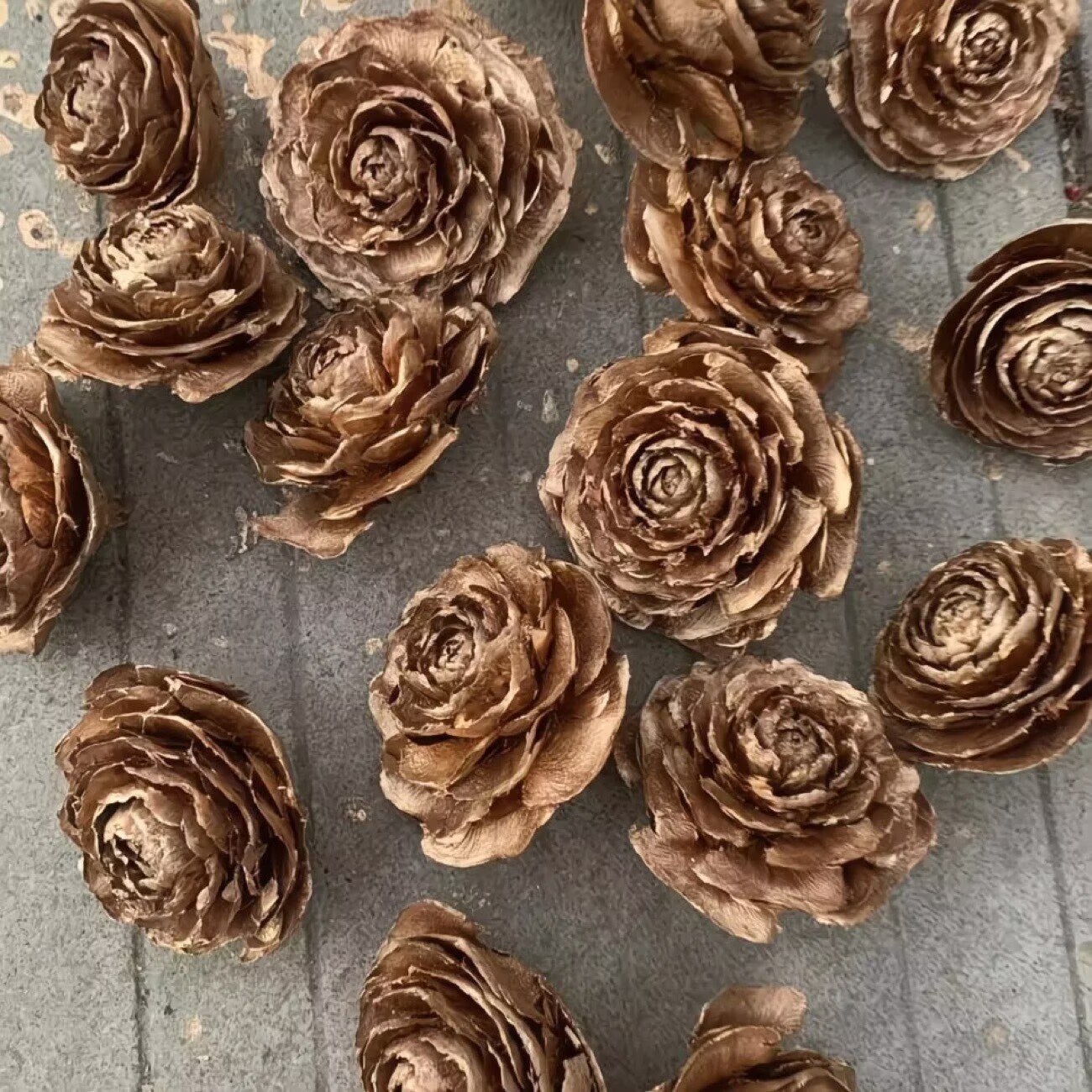 Una rosa de madera (2 - 3,5 cm)