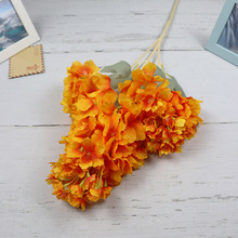 Wʽ潑ֲԼٻd[ ҾbYY