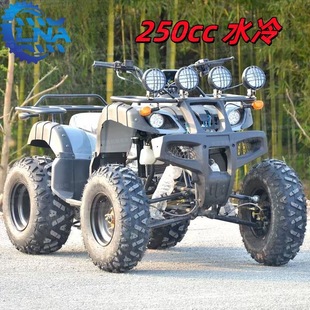 All Terrain Mountain Bike 250Cc Gasoline Amusement Park Club Rental Off-Road Vehicle