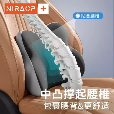 Waist support | and Lumbar Support