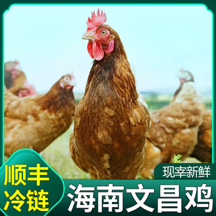 ���ں����Ĳ��u���r��ֻ�u�������خa�ה��u�F�����r�u�ЉKҬ���u