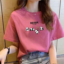 100������Ů����t��Ů2026���¿����������ļ��¿��w����