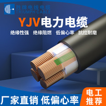 勝牌YJV家裝電線電力電纜 純銅芯工程電力電線戶外電覽線1*25MM