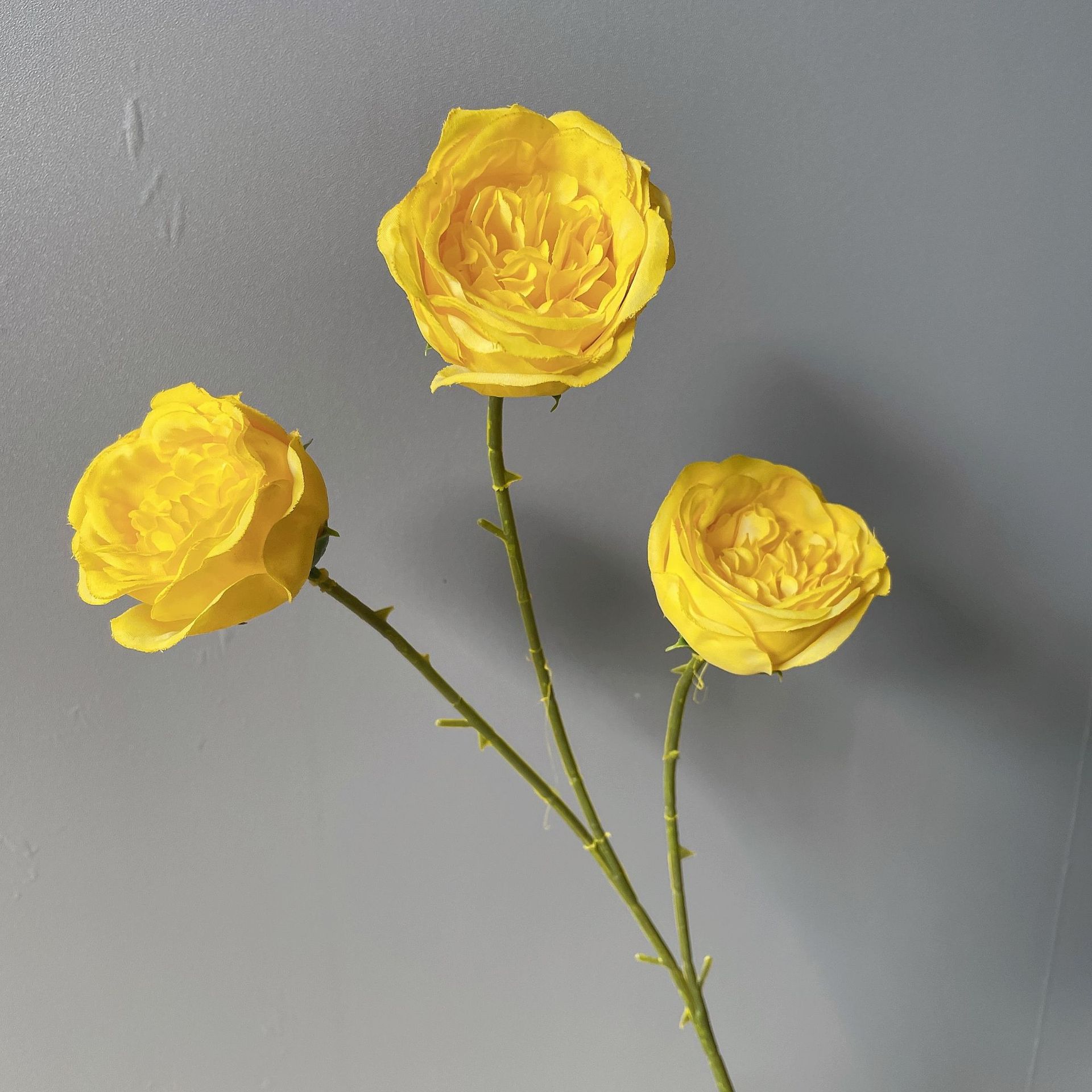 微信图片_20220311095945