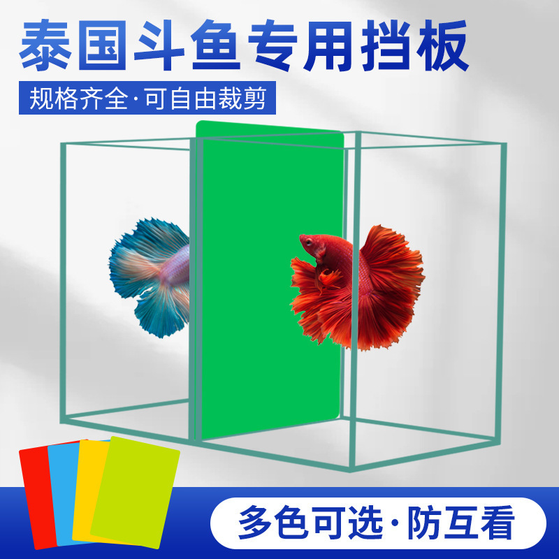Thai Fighting Fish Anti-eye-to-eye Cuttable Partition Cover Plate Fish Tank Super White Tank Partition for Fish Tank