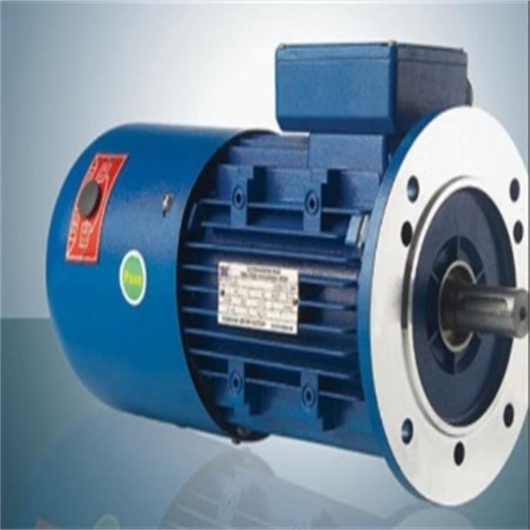 电磁制动三相异步电动机 B3型号:EJ333-Y2EJ-100L1-4