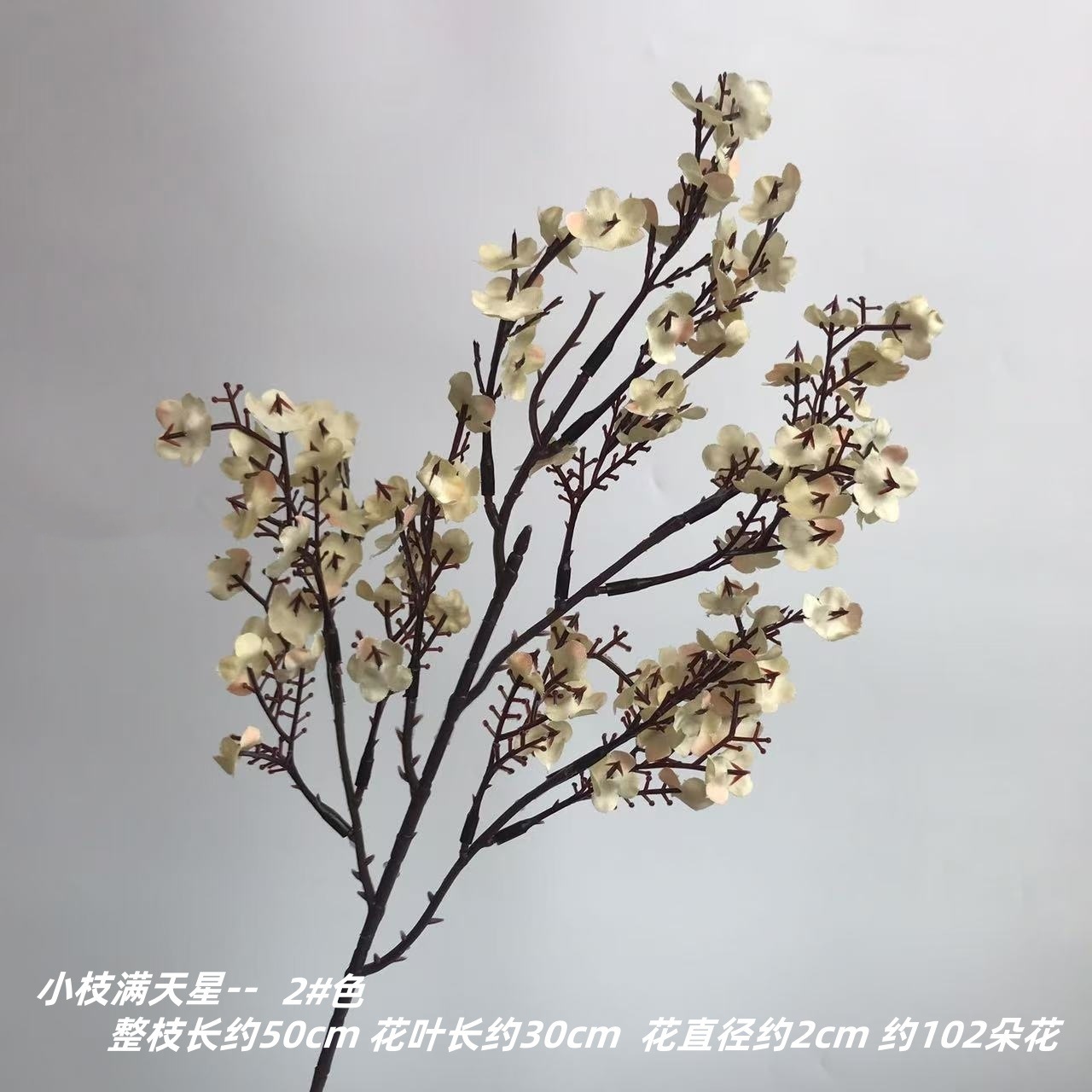 안개꽃의 나뭇가지 2#색상-샴페인