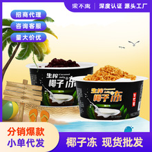 【2杯装】果不离椰子冻厂家220g红豆/椰粒生榨椰子果冻一件代发