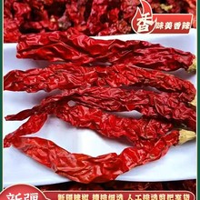 �½���Ƥ�Ӹ����������������ɼt������؛΢�������؛��������