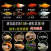 15 live births + 5 rat fish, a total of 20 fish will be given free fish food
