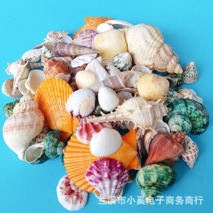 Ư��ƿ���ؐ�����ݺ��ǼҾ��~��ˮ���^��Ӱ΢���^ƿСëؐһ��