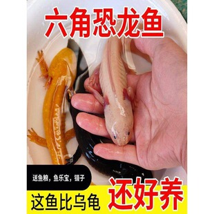 ���ǿ����~���������~��������һ��һĸ�ɷ�ֳ�������������^�p�~